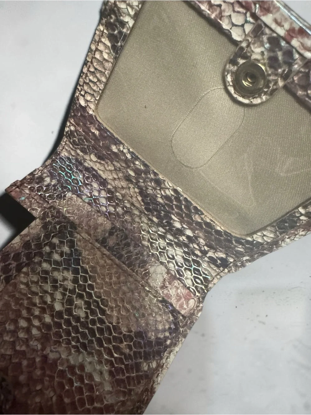 Brahmin Jane Bifold Wallet NWT